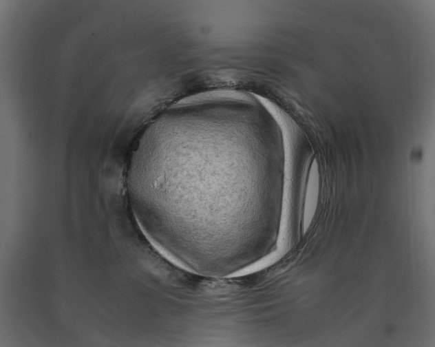X0000090430331200708031135
