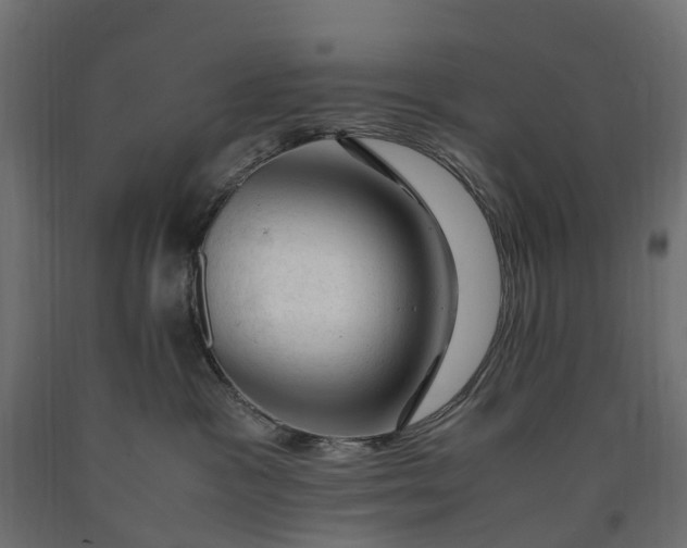 X0000090430333200708031135