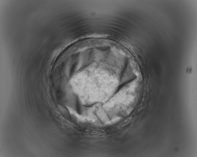 X0000090430337200708031135