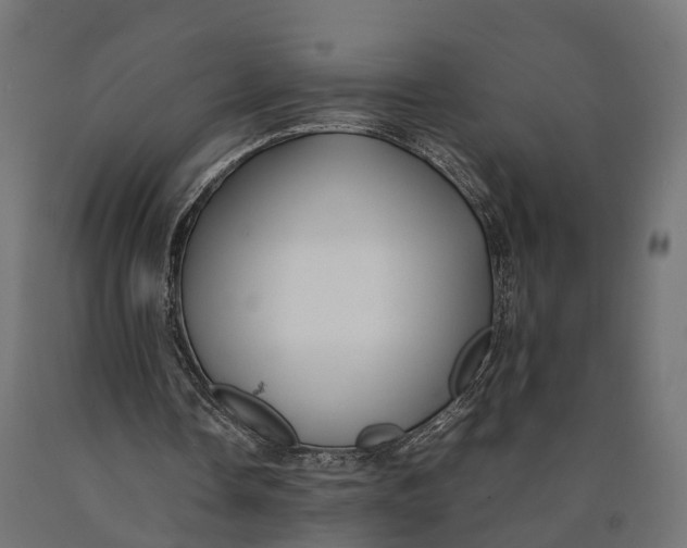 X0000090430338200708031135