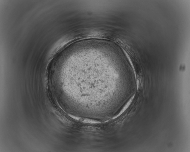 X0000090430339200708031135
