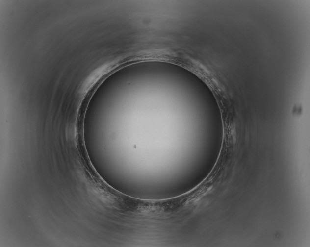 X0000090430340200708031135