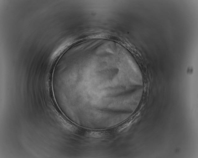 X0000090430341200708031135