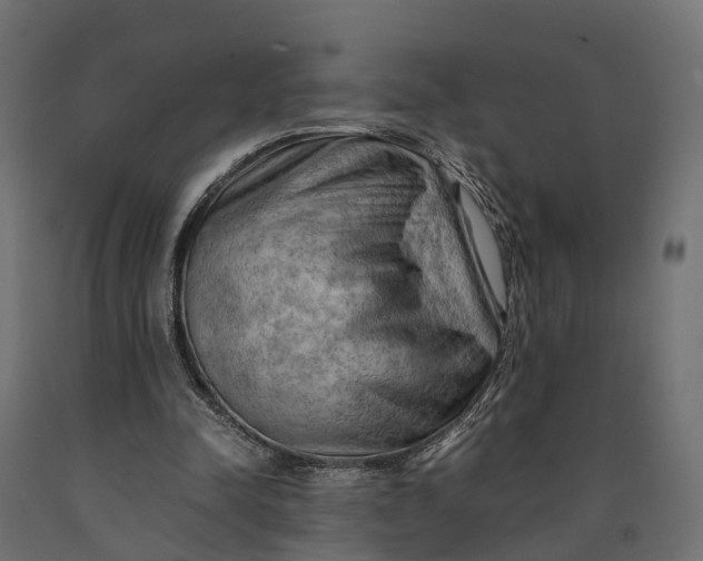 X0000090430342200708031135