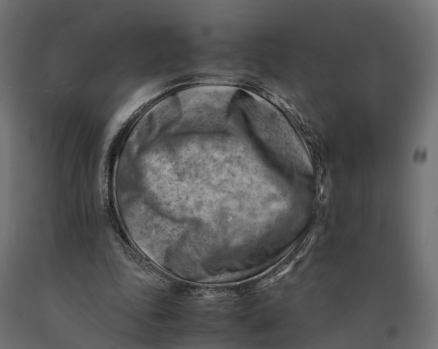 X0000090430343200708031135