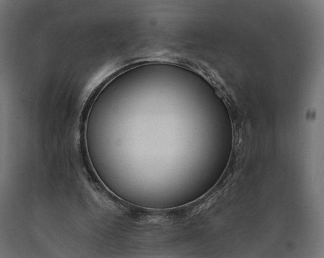 X0000090430344200708031135