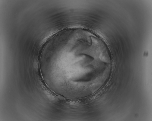 X0000090430345200708031135