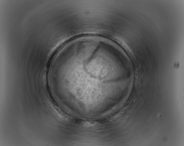 X0000090430346200708031135