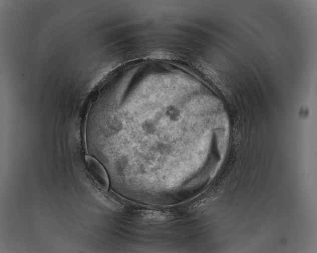 X0000090430347200708031135