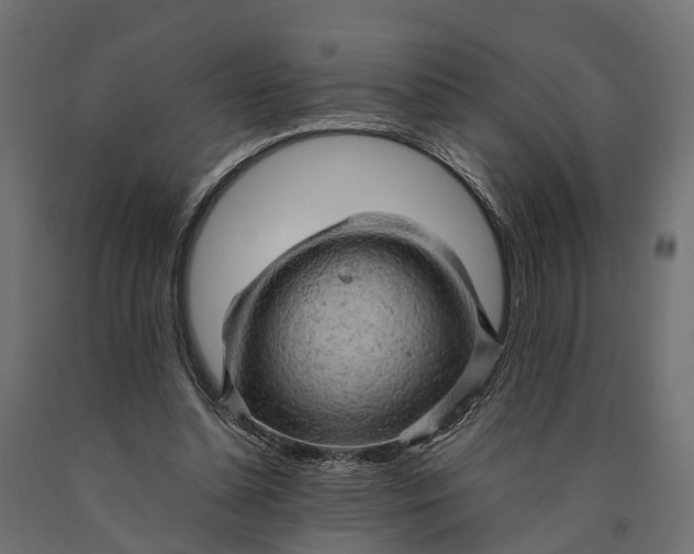 X0000090430348200708031135