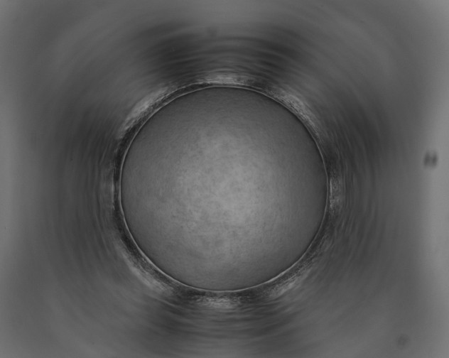 X0000090430349200708031135