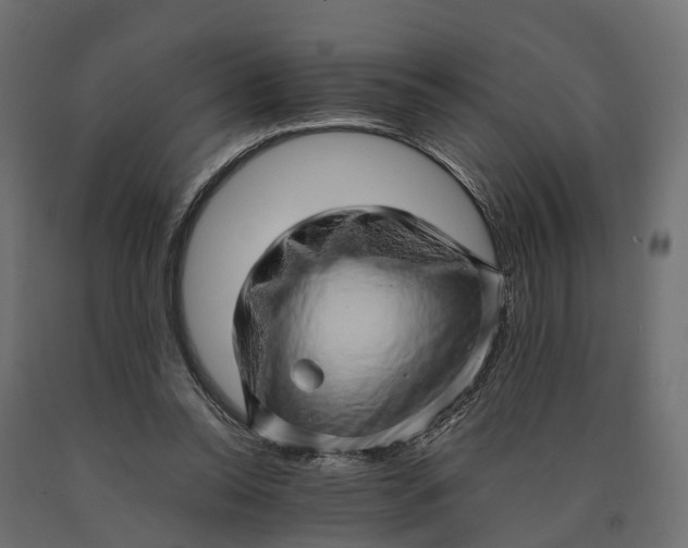 X0000090430350200708031135