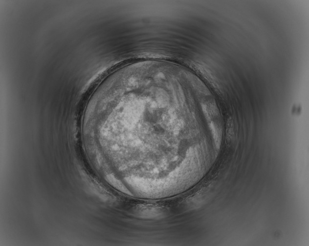 X0000090430351200708031135