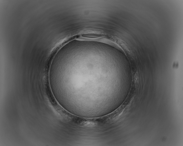 X0000090430352200708031135