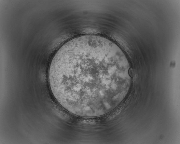 X0000090430353200708031135