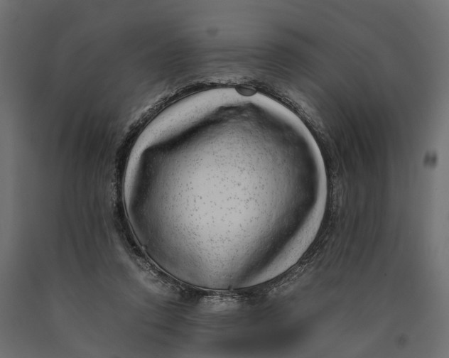 X0000090430354200708031135