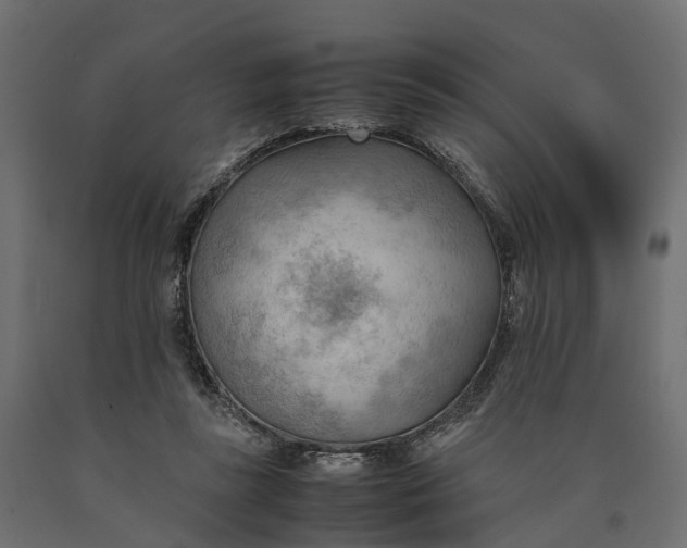 X0000090430355200708031135