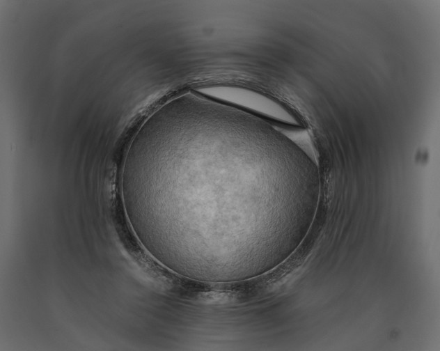 X0000090430356200708031135