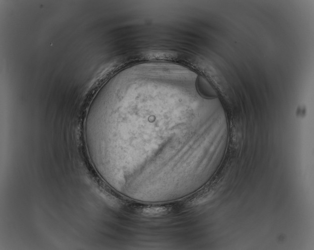 X0000090430357200708031135