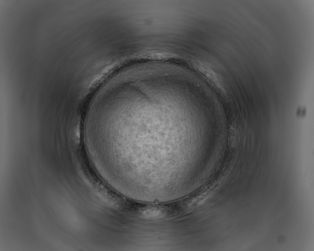X0000090430358200708031135