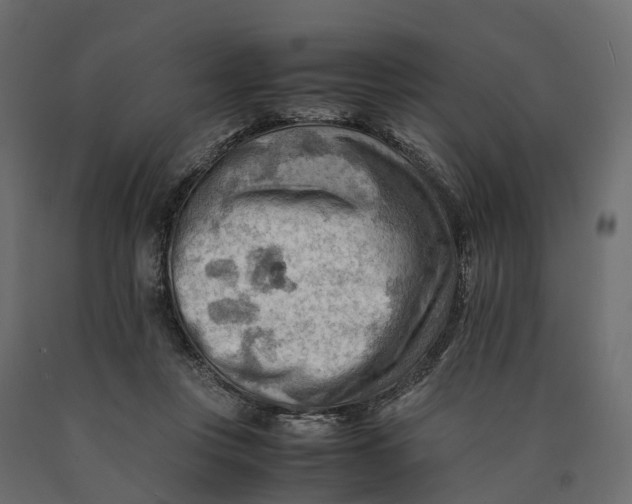X0000090430359200708031135