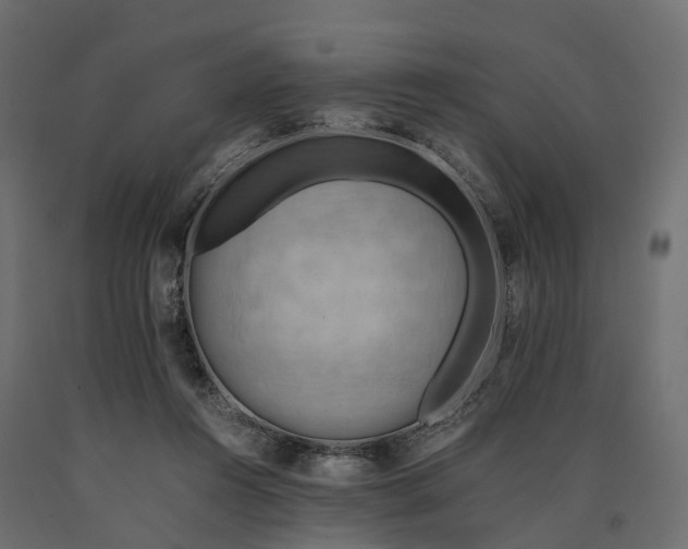 X0000090430360200708031135
