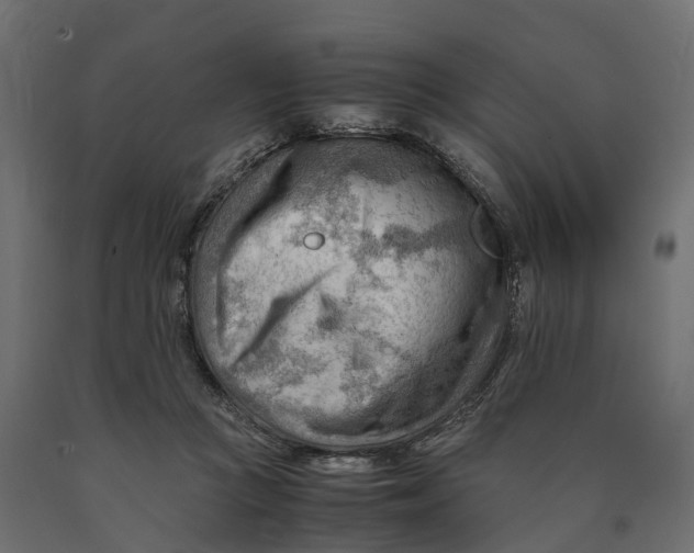 X0000090430361200708031135