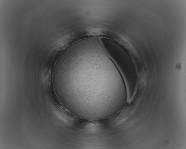 X0000090430364200708031135