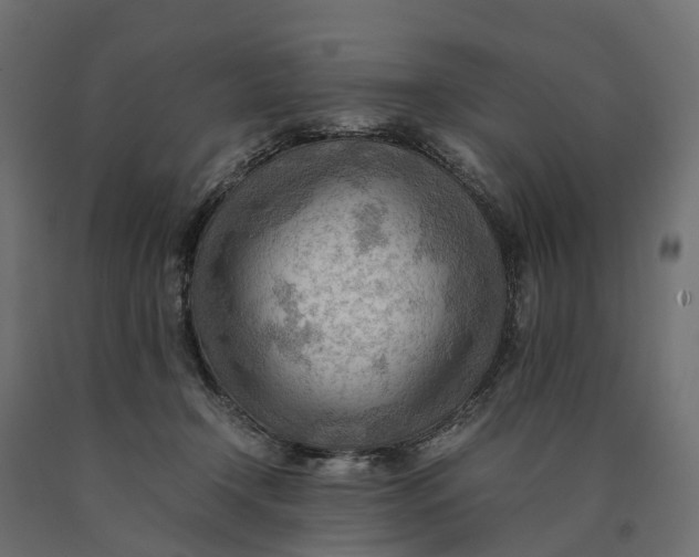 X0000090430366200708031135
