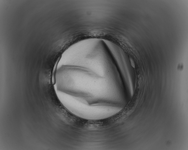 X0000090430368200708031135