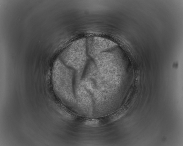 X0000090430369200708031135