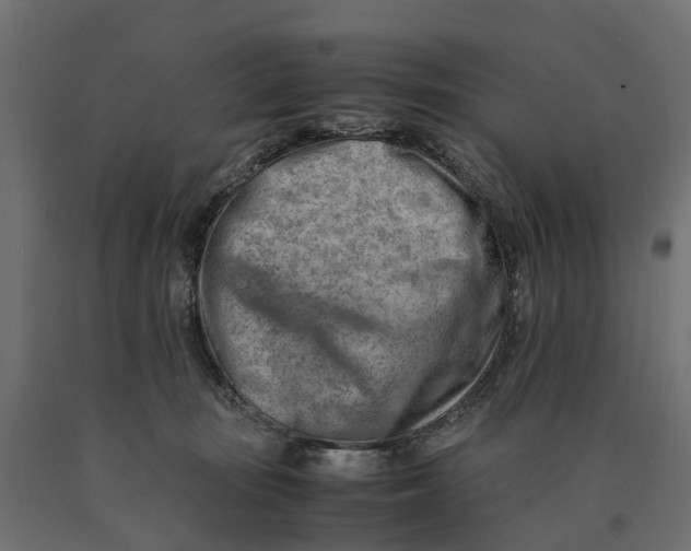 X0000090430371200708031135