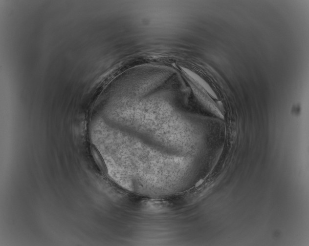X0000090430372200708031135