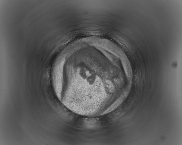 X0000090430373200708031135
