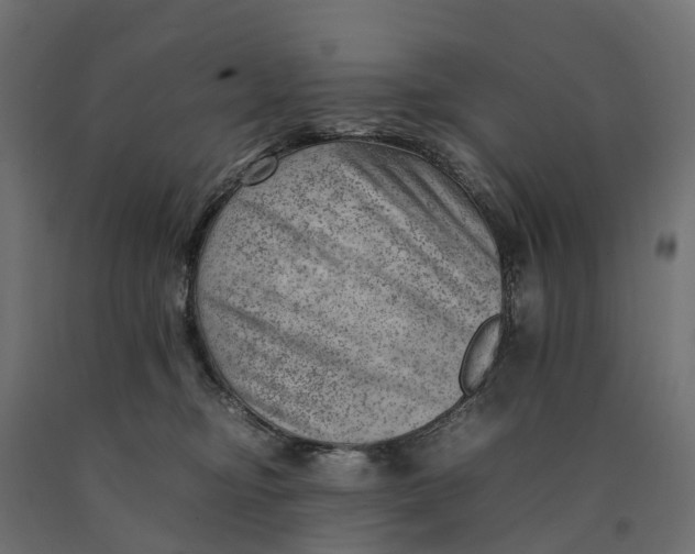 X0000090430374200708031135