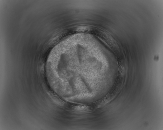 X0000090430375200708031135