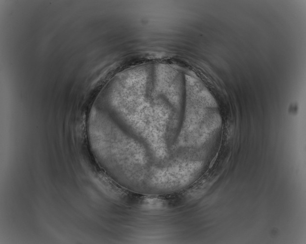 X0000090430376200708031135