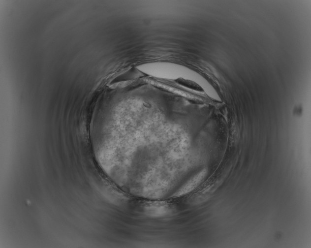 X0000090430377200708031135