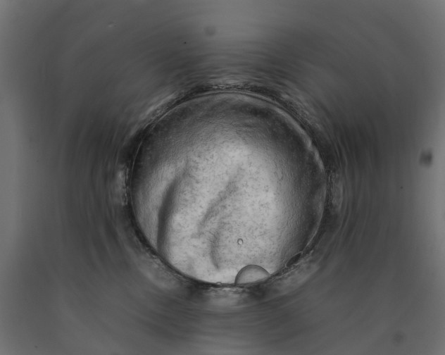 X0000090430378200708031135