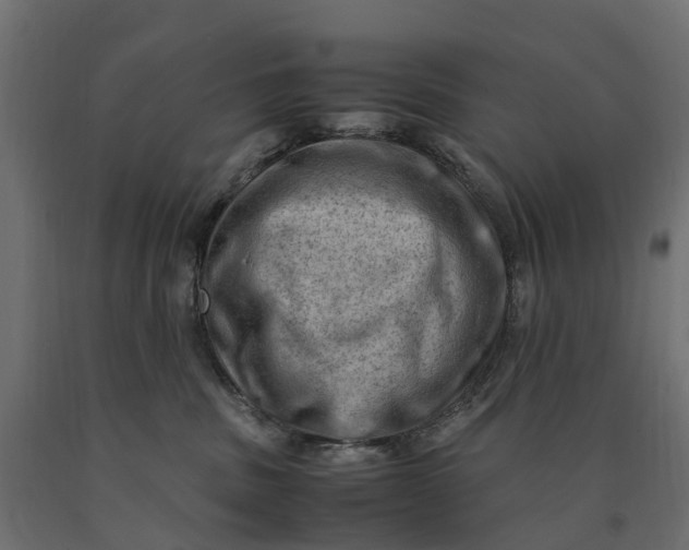 X0000090430379200708031135