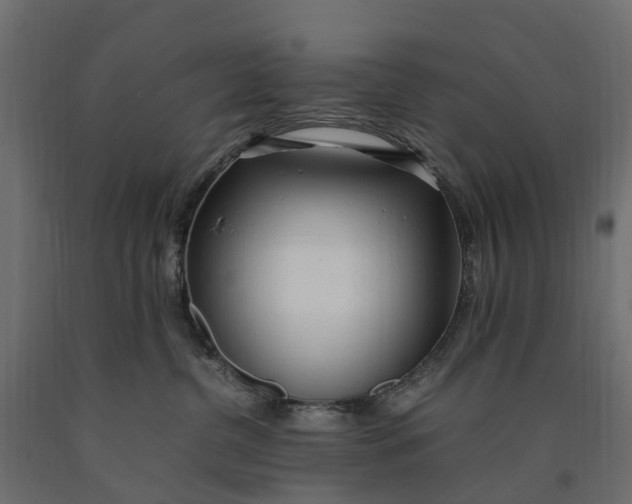X0000090430380200708031135