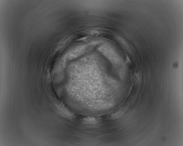 X0000090430381200708031135