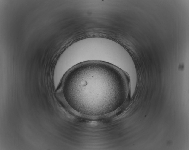 X0000090430382200708031135