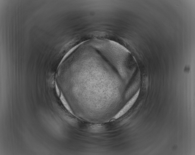 X0000090430383200708031135