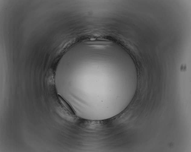 X0000090430384200708031135