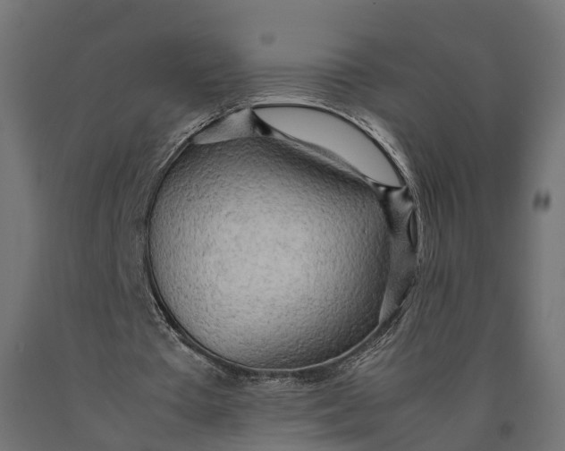 X0000090430385200708031135