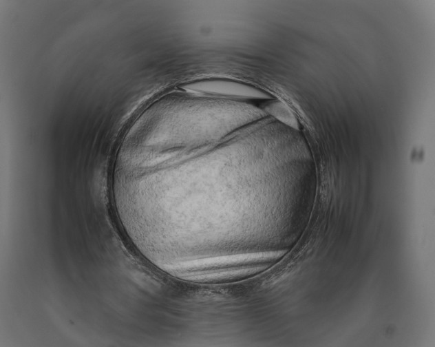 X0000090430386200708031135