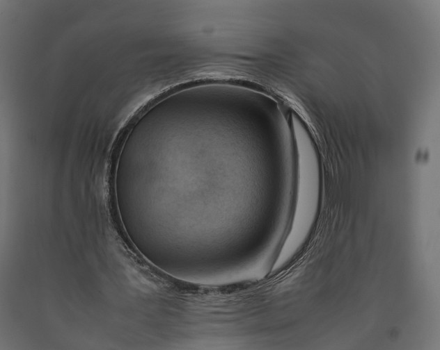 X0000090430387200708031135