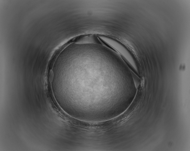 X0000090430388200708031135