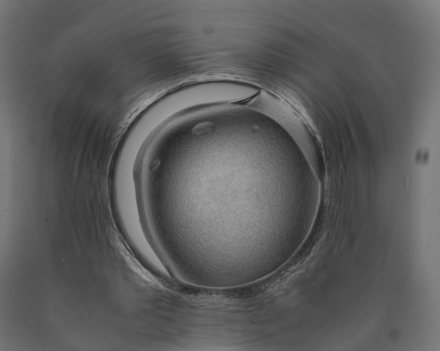 X0000090430389200708031135